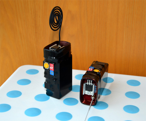 36V elektromagnetische Impulsstoorzender, Micro- Emp Stoorzendergroef voor de Machine van het Pookfruit